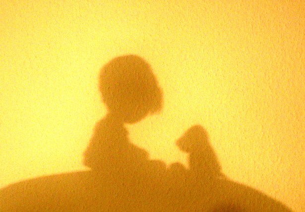 KONICA MINOLTA DIGITAL CAMERA