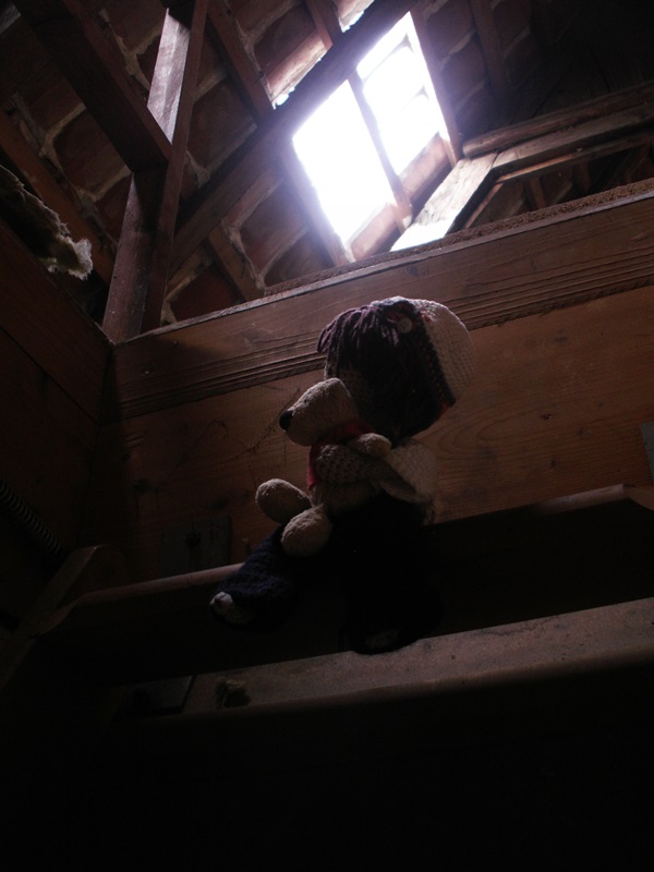 KONICA MINOLTA DIGITAL CAMERA